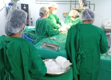 HGV realiza primeira captação e transplantes renais do ano