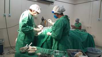 Hospital de Floriano já realizou mais de 14 mil atendimentos na área de neurocirurgia